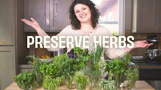 How to preserve herbs from your garden (13 ideas)