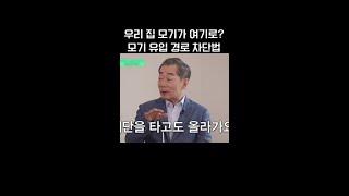 모기가 여기로도 올라와? #유퀴즈온더블럭