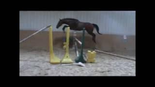 Bonheur de Florent 03072016