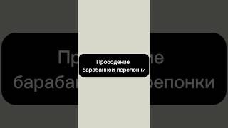 #форвет #животные #рекомендации #ветврач #уши #отит
