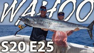 Wahoo Fishing Reports in Florida! Where to Go and What to Know!