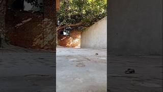 Janam fida e haideri ya Ali ya Ali latest for night video ghulam Mustafa qadri special voice promote