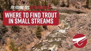 HOW TO Find Trout in Small Streams | FLY FISHING TIPS