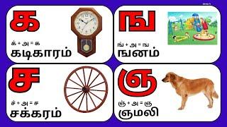 உயிர்மெய் எழுத்துக்கள் / UyirMei Ezhuthukkal  / கஙசஞ / க் + அ = க / க கடிகாரம் / க முதல் ன வரை