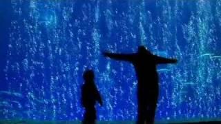 A Sea Change - Imagine A World Without Fish (Bullfrog Films clip)