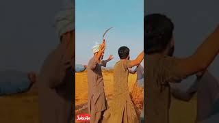 #shortsvideo   Weet Harvesting In Village #Weet #Harvesting #Villagelife #Pakistanivillage