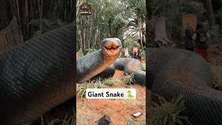 Animal transformation | Giant anaconda #animals #animaltransform #anaconda