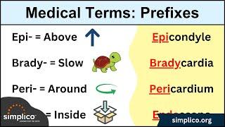 Medical and Nursing Terminology MADE EASY: Prefixes [Flashcard Tables]