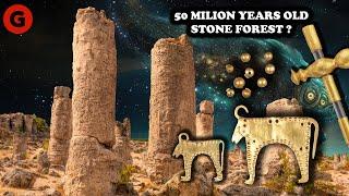 50 Million-Year-Old Stone Forest and Europe's First Prehistoric Civilization