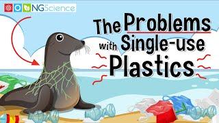 The Problems with Single-use Plastics