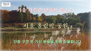 가을에 꼭 가봐야 할 서울 단풍의 명소 서울 올림픽공원!