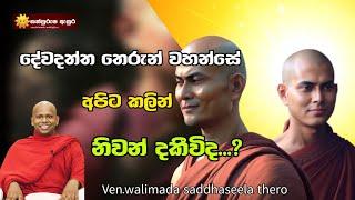 දේවදත්ත තෙරුන් වහන්සේ අපිට කලින් නිවන් දකීවිද...? | Ven.walimada saddhaseela thero