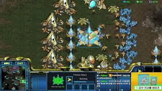 헌터는 센터지 센터 지옥이네요 진짜 Leto 스타팀플 헌터 Hunter TeamPlay StarCraft