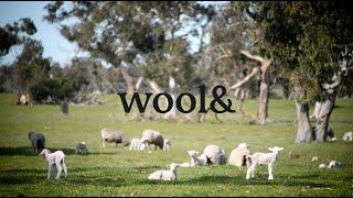 Wool&'s traceable Merino wool collection