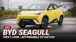 2025 BYD Seagull | First Look & Impressions | AFFORDABLE EV HATCHBACK