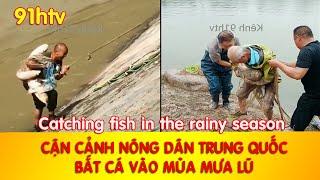 Bắt Cá Vào Mùa Mưa - Cảnh Quay Nông Dân Trung Quốc Bắt Cá Vào Mùa Nước Lũ