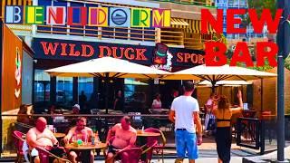 NEW BENIDORM SEAFRONT BAR WILD DUCK [ GOOD LUCK ]