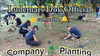 Company Tree Planting