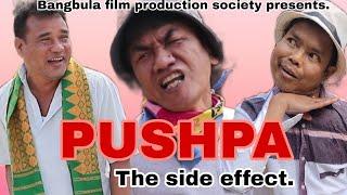 "PUSHPA" The side effect/Fwila, Mendela, Dabla.