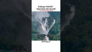 Dudhsagar waterfall,Goa #india#goa #vishalogy_95 #incredibleindia #waterfall