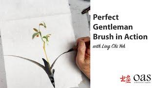 Simple Chinese Painting Orchid Featuring New Perfect Gentleman Brush