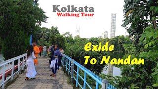 Walking to Nandan from Rabindra Sadan Metro | Walking Tour of Kolkata | Average Walker