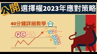 2023年台指選擇權交易策略，新手必看，可能會拯救你錢包（跟高手合作開發攻略細節和引入更多工具，提升2023勝率）