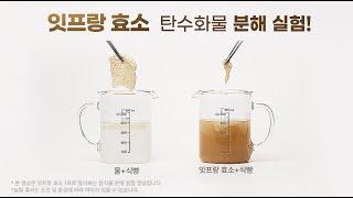 잇프랑효소에 식빵을 넣어보았습니다!