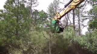 FX36 Defender Forestry Mulcher In Action