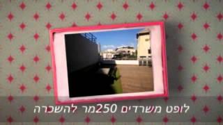 משרדים להשכרה בתל אביב לופט 250 מר ברוטשילד | סטאטוס יועצי נדלן