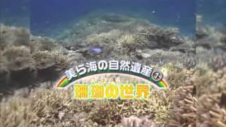 美ら海美ら島 ～沖縄の自然遺産シリーズ１～（タイトル1分動画）