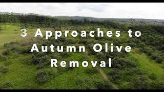 #25 Autumn Olive Removal - 3 Easy Methods Demonstrated on the Habitat Oasis Project in SE Ohio