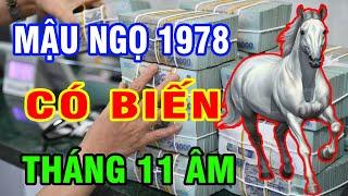 Tử Vi Tháng 11 Âm Tuổi Mậu Ngọ 1978 Sự Nghiệp Trầm Lắng Tài Lộc Không Khả Quan Lưu Ý Kẻo Mất Tiền