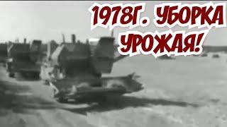 ХРОНИКА СССР!!1978г  Саратовская обл  уборка урожая
