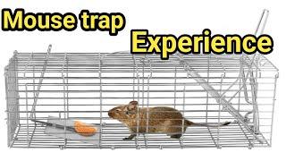 Easy Mouse trap| DIY Mouse trap| Rat trap Homemade|How to make MOUSETRAP ‎@hinafamilyvlogs5377