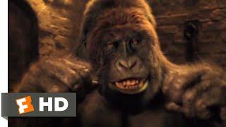 Dolittle (2020) - Gorilla vs. Tiger Scene (7/10) | Movieclips