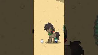 @Malibu_da_pegasus #ponytown #smog