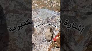 إشارة الجرة التكنيكية #كنوز #اكتشافات_أثرية #علم_الآثار #دلائل_الدفائن