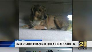 Hyperbaric chamber for animals stolen