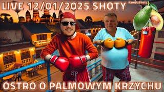 CeBe CeBe | OSTRO O PALMOWYM KRZYCHU, shoty z live 12/01/2025 #polacywkambodży #polacywazji