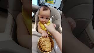 Salmon carrot onion baby food 6 months above #cat #travel #baby  #cute  #asmr