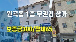 원곡동 1층, 무권리 상가 300/65, 사무실 앞 주차 1대 가능