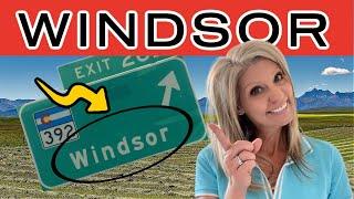 Why Windsor Colorado Is The BEST Place To Live In 2023! [Windsor Colorado Living]