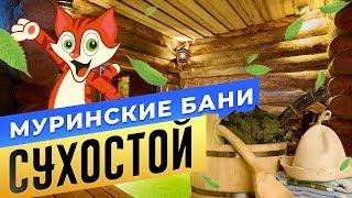 Муринские Бани «Сухостой» | БАНИ.РФ