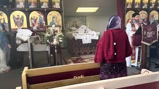 Liturgy Gospel on 11/17/2024 by Mark Botros
