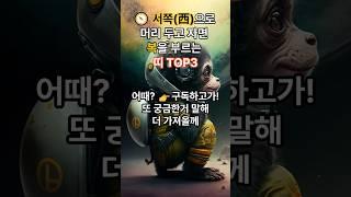  머리방향을 서쪽으로 두고 자야하는 띠 TOP3 #풍수 #운세 #사주 #띠별운세 #2025년운세 #오늘의운세
