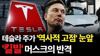 "기술에 집중할 것" 머스크의 반격? 테슬라 주가 어디까지 갈까 / 강정수 블루닷 AI 연구센터장