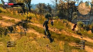 The Witcher 3 GTX 860m on High/Ultra (Velen)