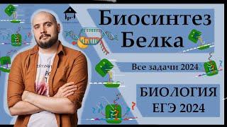 БИОСИНТЕЗ БЕЛКА. 27 задание ДЛЯ ЕГЭ 2024 |ЕГЭ БИОЛОГИЯ|Freedom|