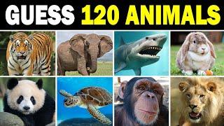 Guess 120 Animals in 3 Seconds (Animal Quiz) - Easy to Hard